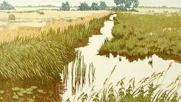 engineering the environment and imagining nature in the early modern world