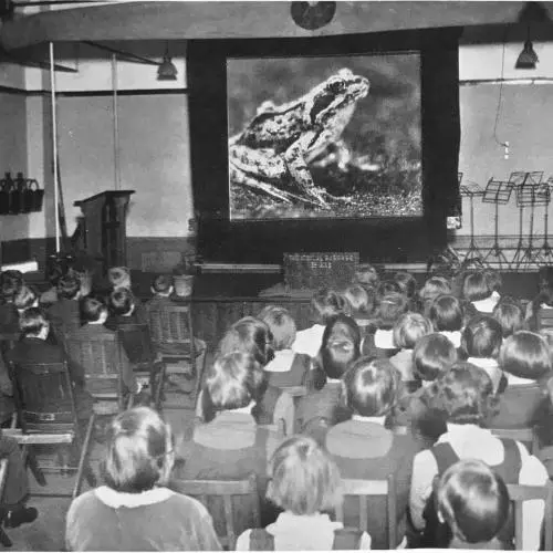 Sound Films in Schools (London: National Union of Teachers, 1931), p. 25.